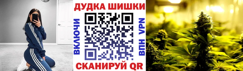 hydra как войти  Малмыж  Канабис AK-47 